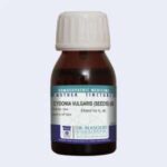 Masood CYDONIA VULGARIS Q