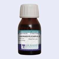 Masood JABORANDI (PILOCARPUS) Q