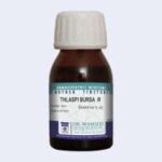 Masood THLASPI BURSA PASTORIS Q